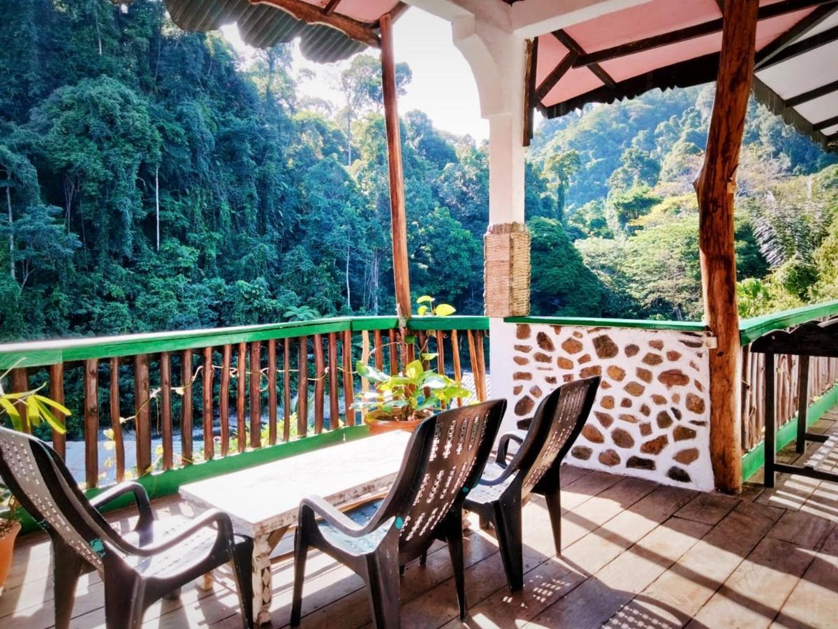 Jungle Inn Bukit Lawang Exterior photo