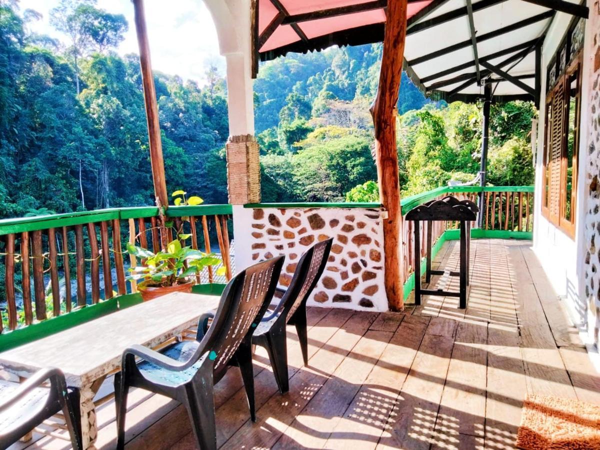 Jungle Inn Bukit Lawang Exterior photo