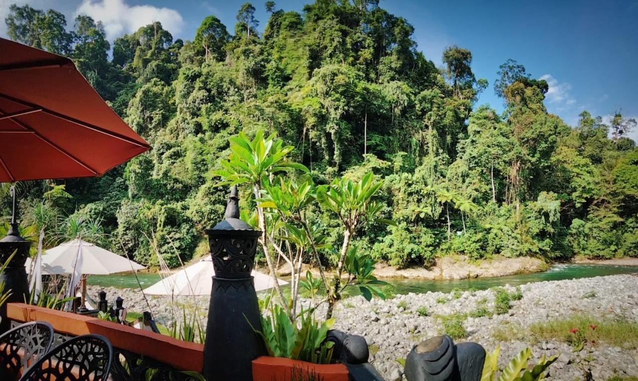 Jungle Inn Bukit Lawang Exterior photo