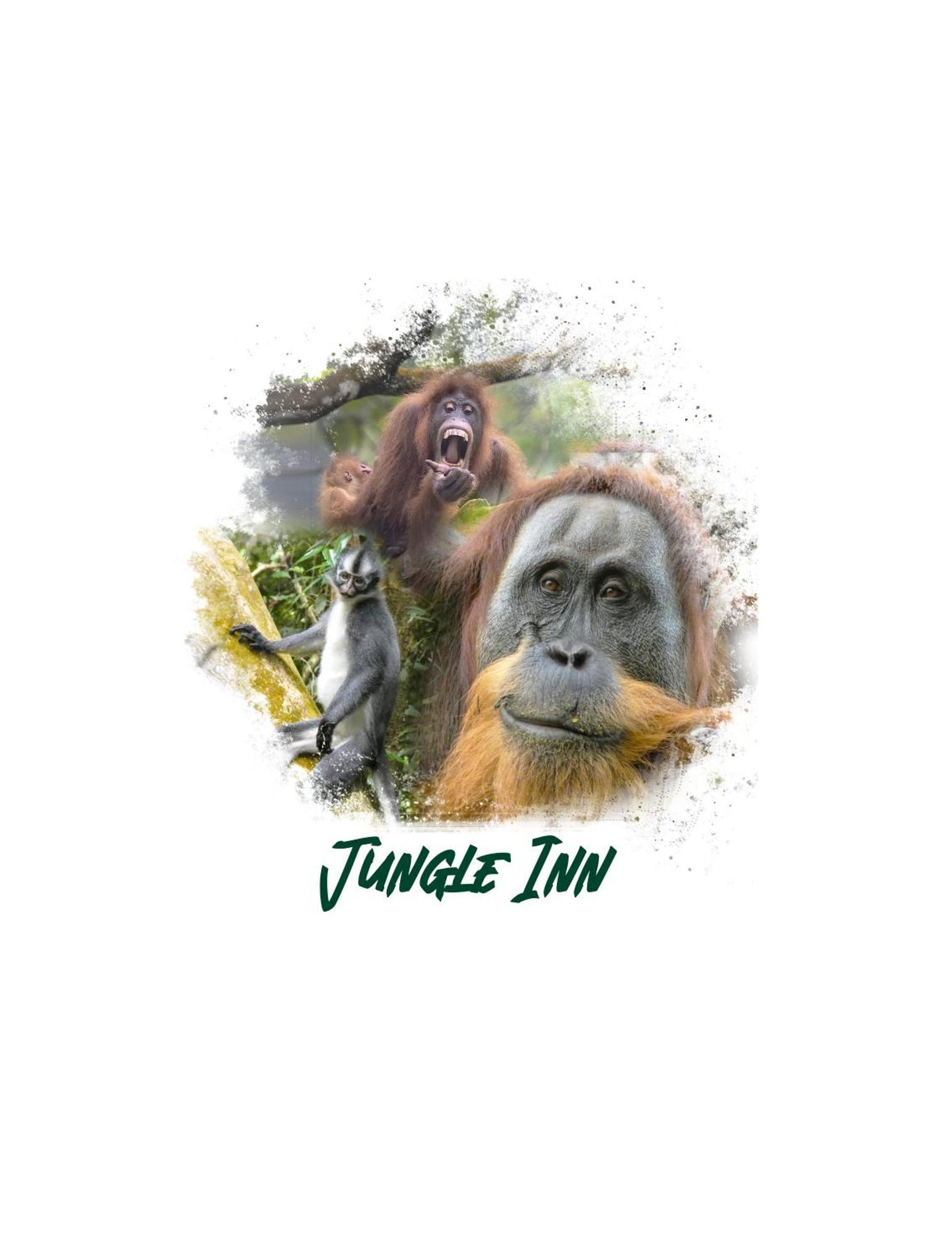 Jungle Inn Bukit Lawang Exterior photo