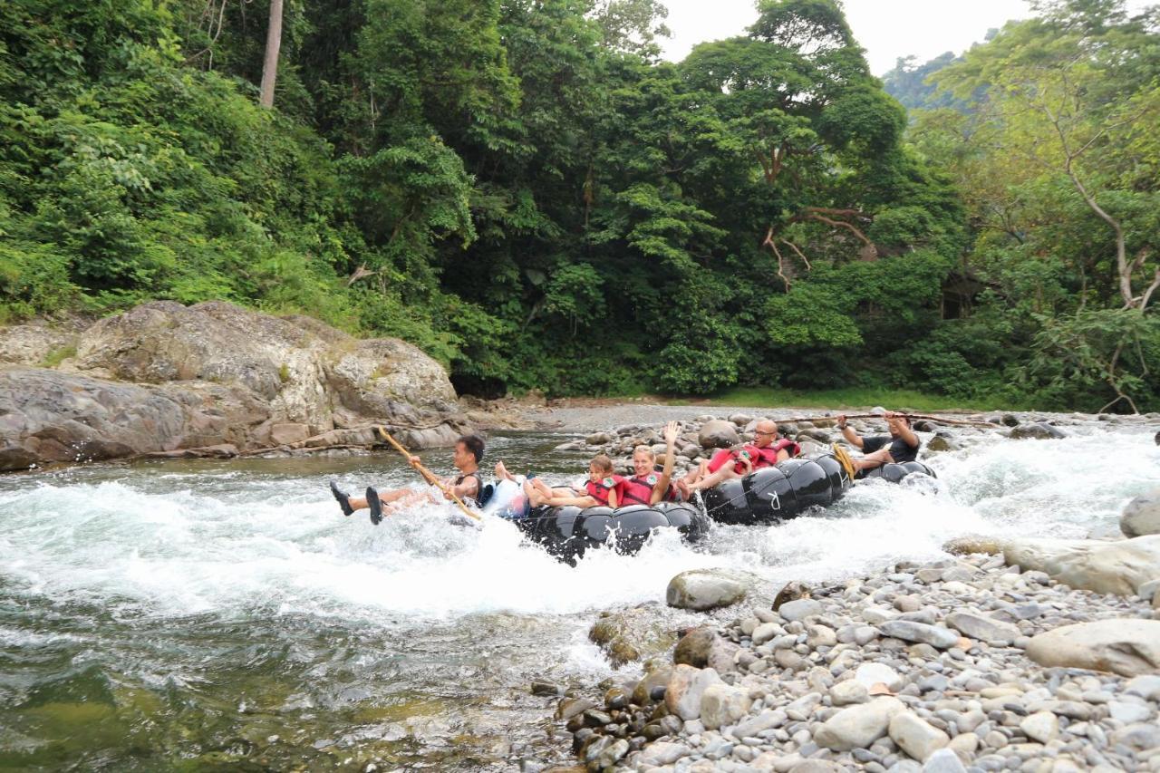 Jungle Inn Bukit Lawang Exterior photo