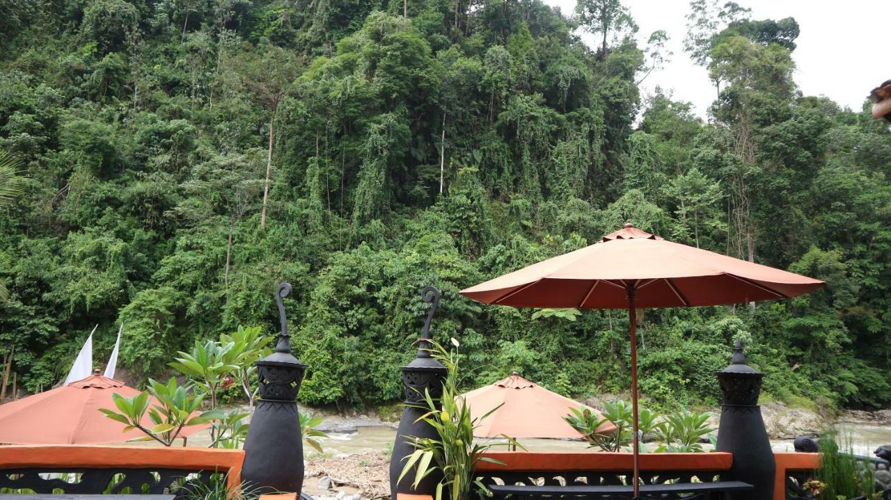 Jungle Inn Bukit Lawang Exterior photo