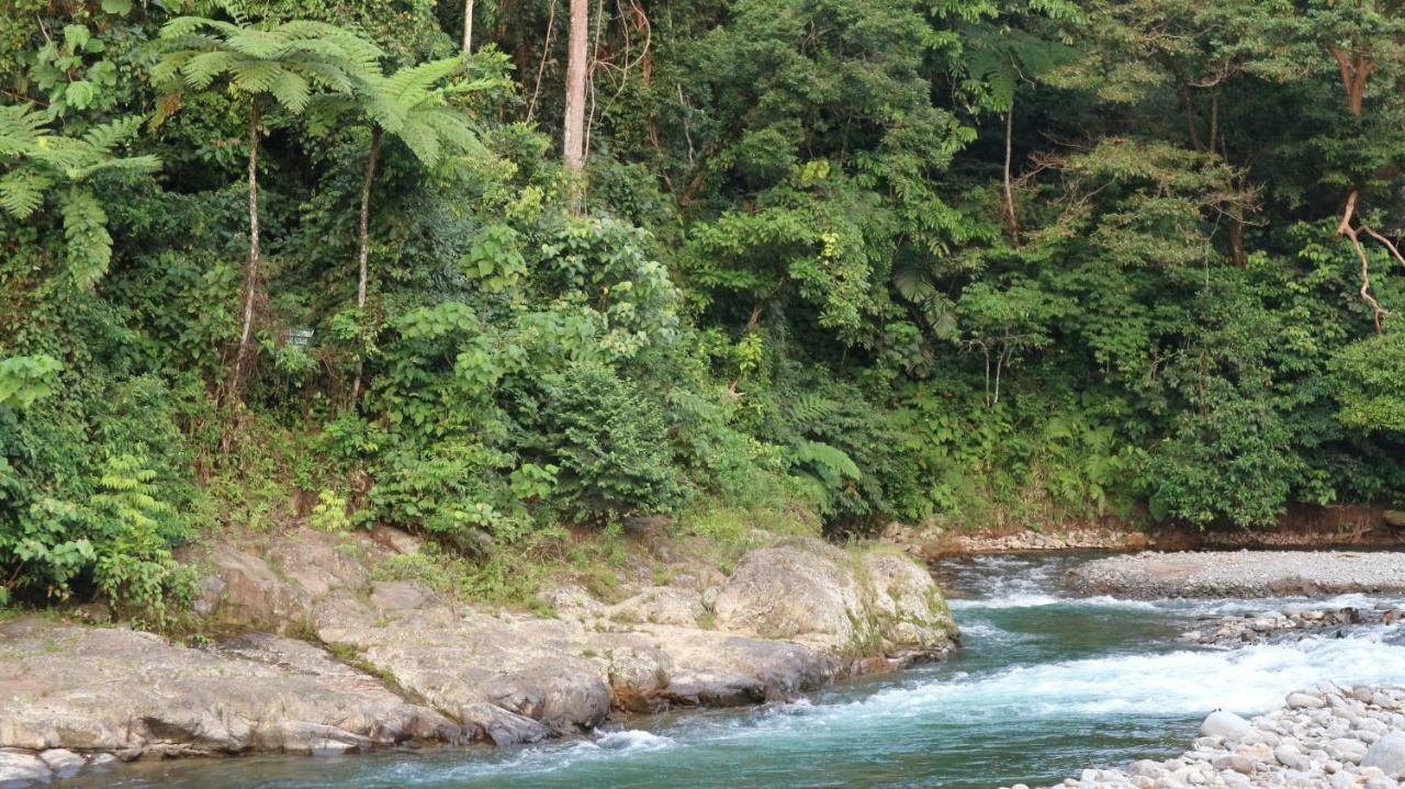 Jungle Inn Bukit Lawang Exterior photo